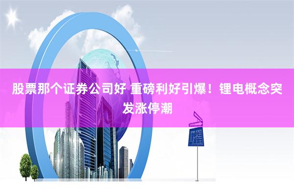 股票那个证券公司好 重磅利好引爆！锂电概念突发涨停潮