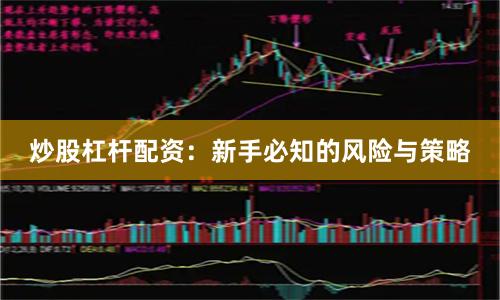 炒股杠杆配资:新手必知的风险与策略